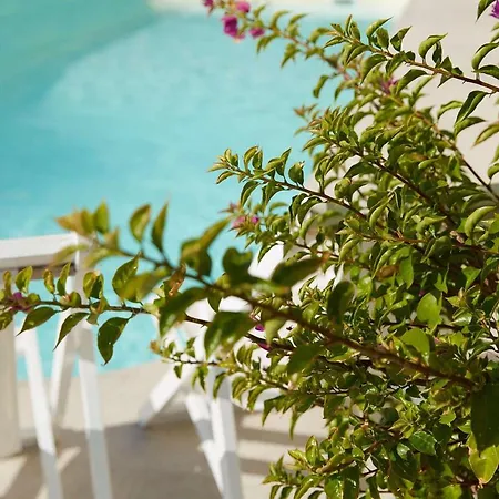 ホテル Mon Repos Palace - Adults Only コルフ島