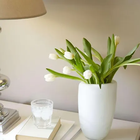 Mon Repos Palace - Adults Only ホテル