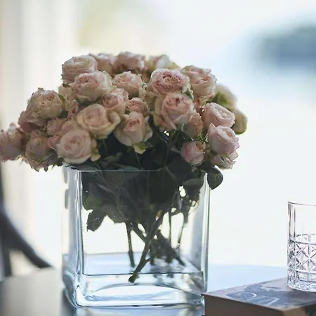 Mon Repos Palace - Adults Only 4* コルフ島