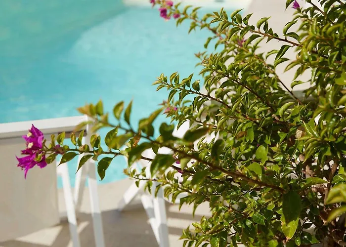 Hotel Mon Repos Palace - Adults Only Corfu (city)